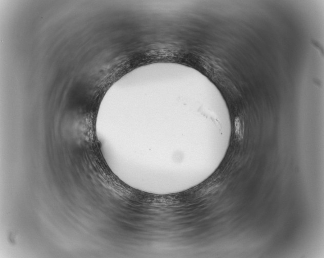 X0000102261203200808151832