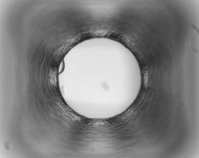 X0000102261204200808151832