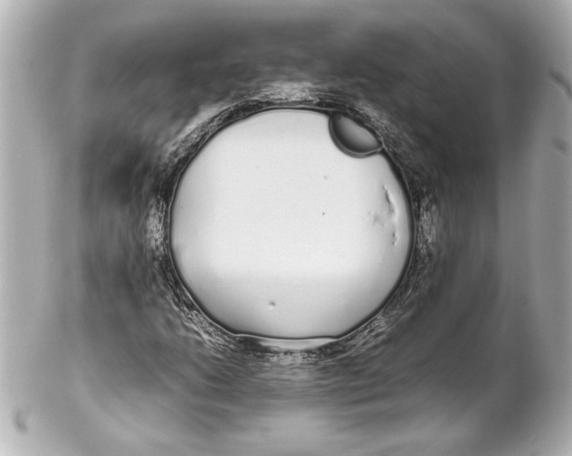 X0000102261206200808151832