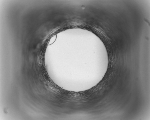 X0000102261207200808151832