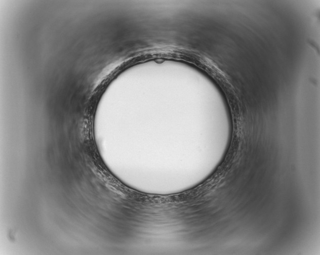 X0000102261208200808151832