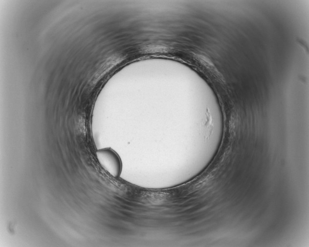 X0000102261209200808151832