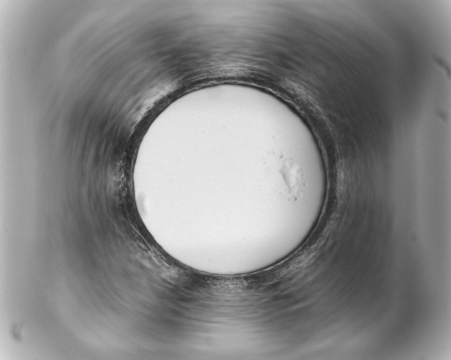 X0000102261210200808151832