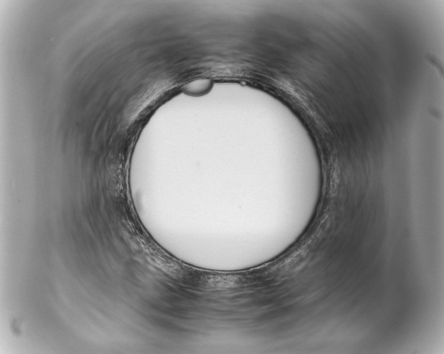 X0000102261211200808151832