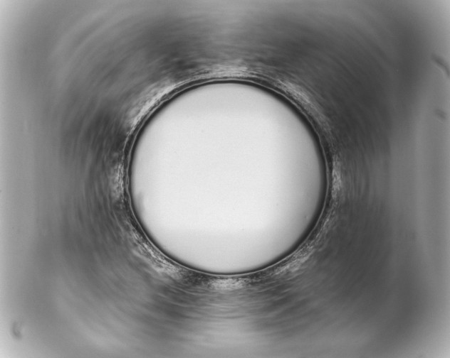 X0000102261212200808151832