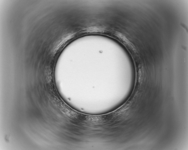 X0000102261213200808151832