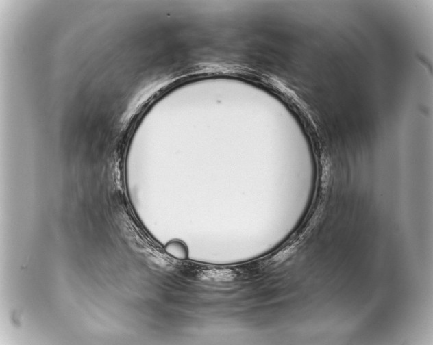 X0000102261215200808151832