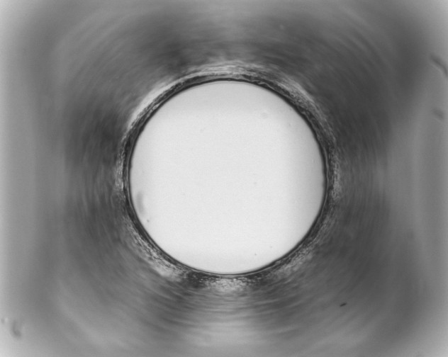 X0000102261216200808151832