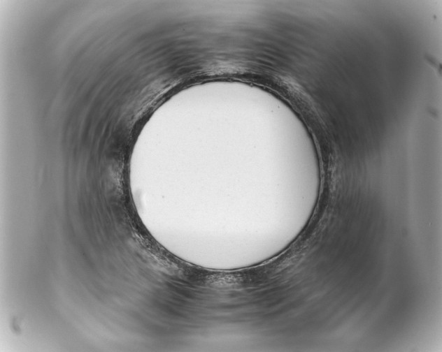 X0000102261217200808151832