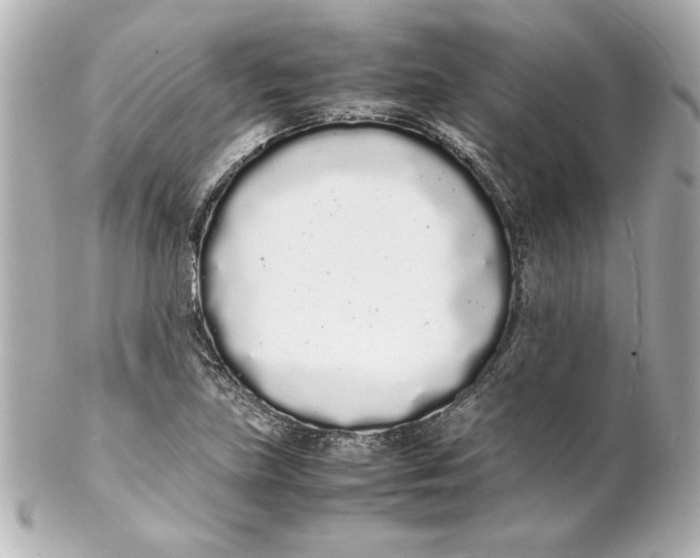 X0000102261219200808151832