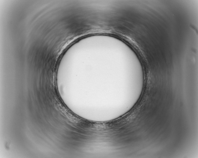 X0000102261220200808151832