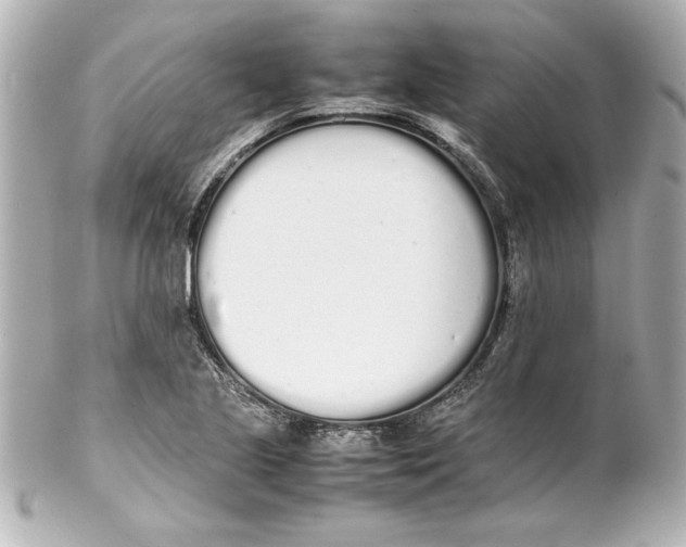 X0000102261221200808151832