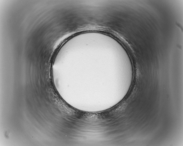 X0000102261222200808151832