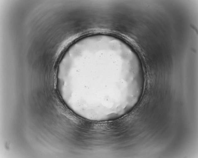 X0000102261223200808151833