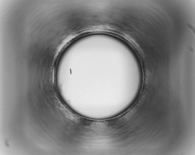 X0000102261224200808151833