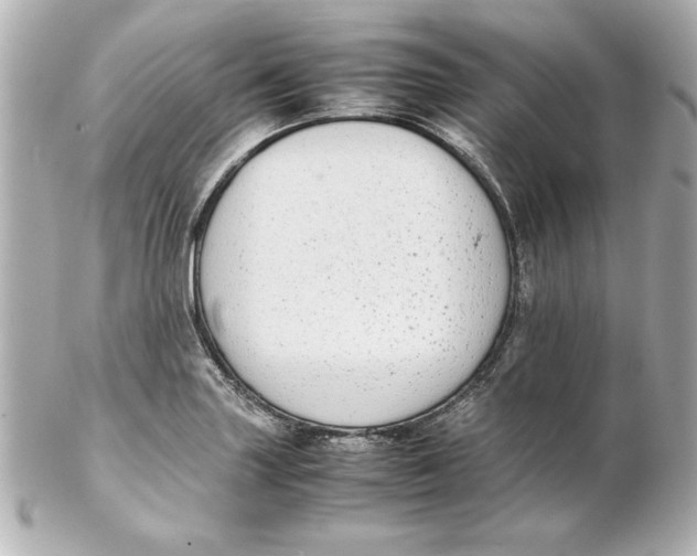 X0000102261227200808151833