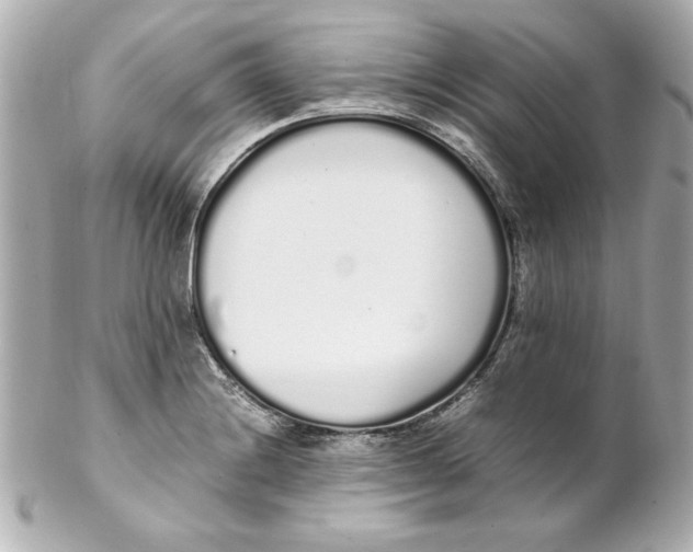 X0000102261228200808151833