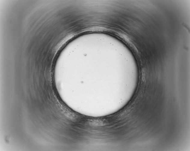 X0000102261229200808151833