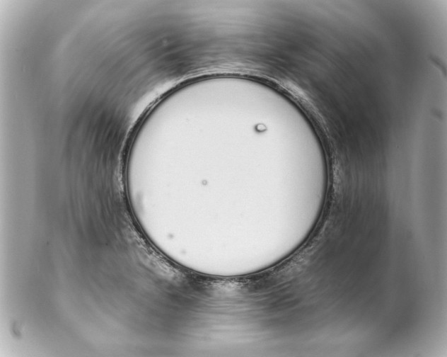 X0000102261230200808151833