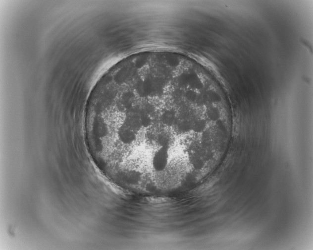 X0000102261231200808151833