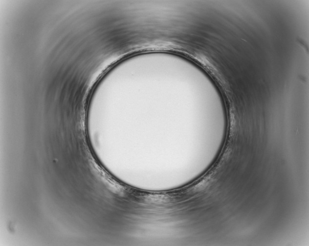 X0000102261232200808151833