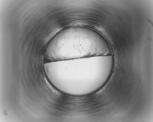 X0000102261233200808151833