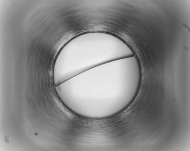 X0000102261234200808151833