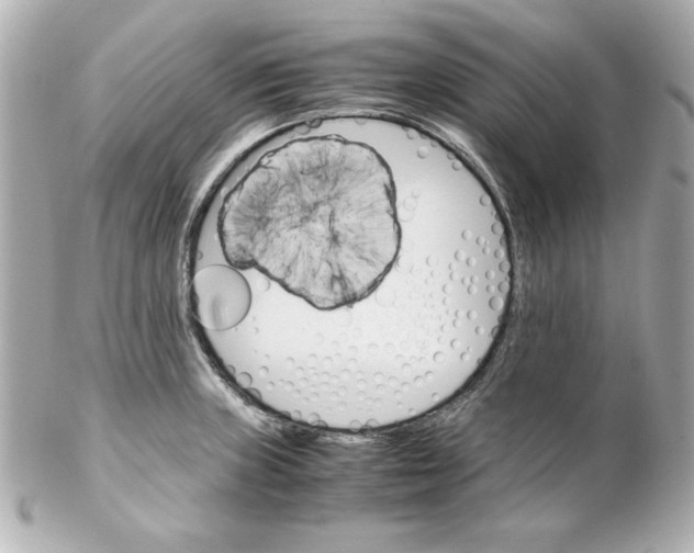 X0000102261235200808151833