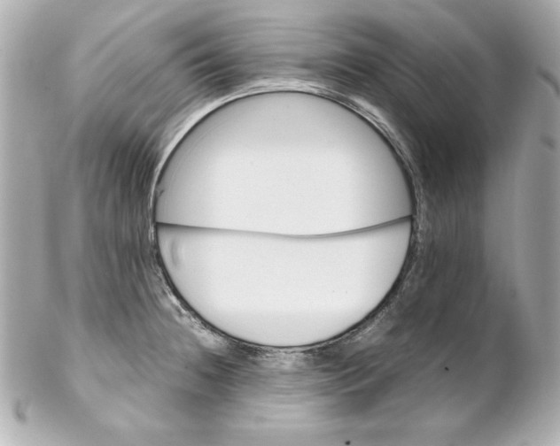 X0000102261236200808151833