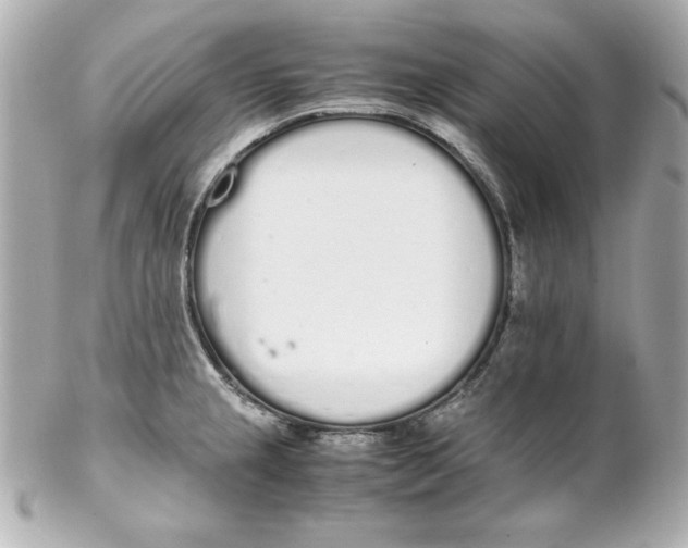 X0000102261237200808151833