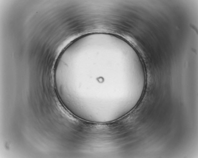 X0000102261238200808151833