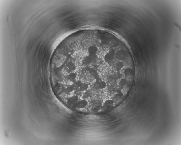 X0000102261239200808151833