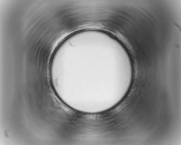 X0000102261240200808151833