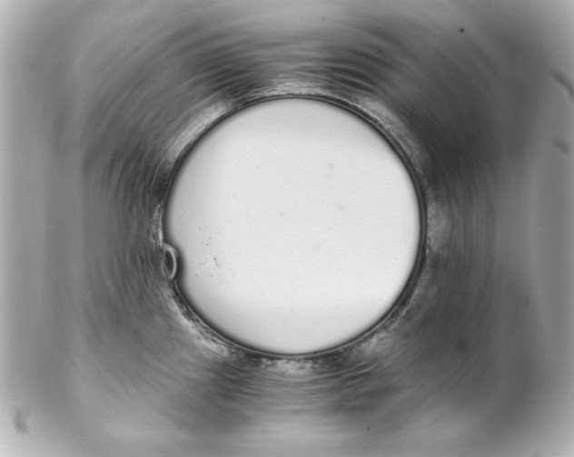 X0000102261241200808151833