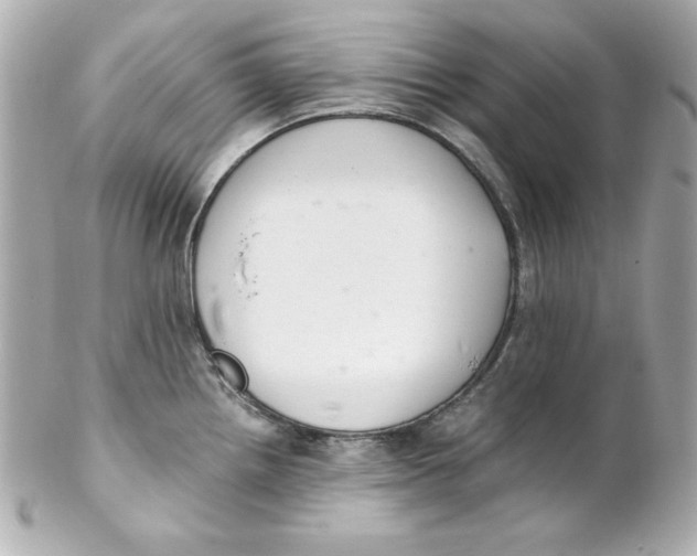 X0000102261242200808151833