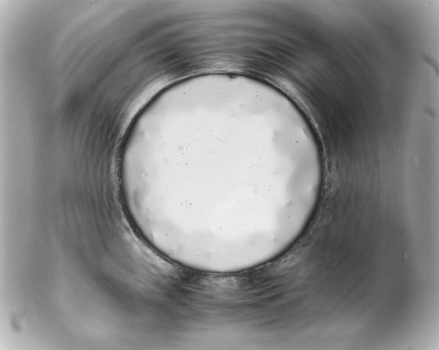 X0000102261243200808151833