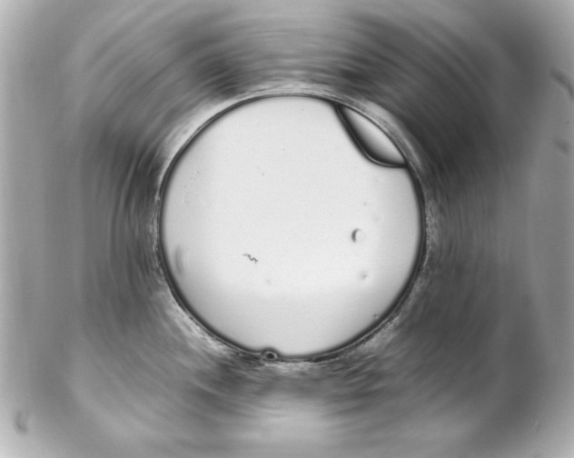 X0000102261244200808151833