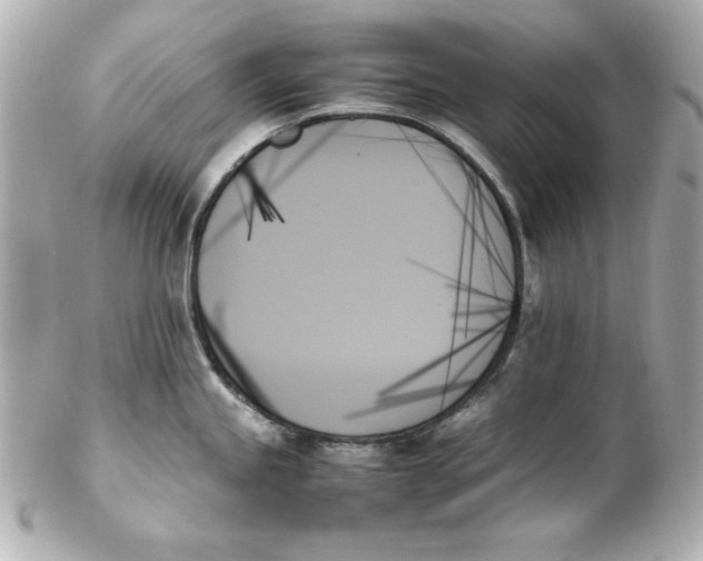 X0000102261245200808151833