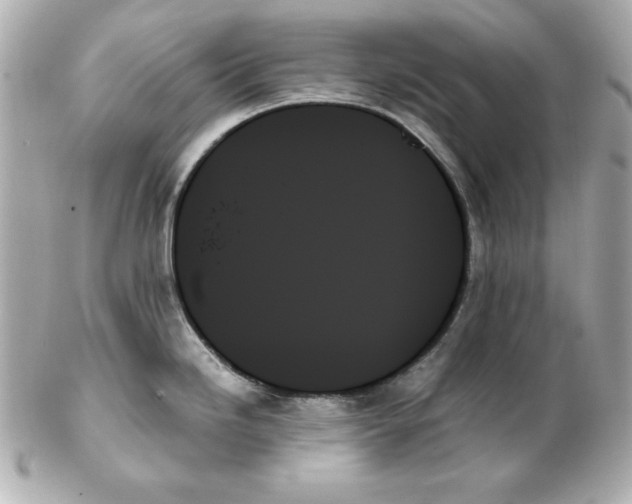 X0000102261246200808151833