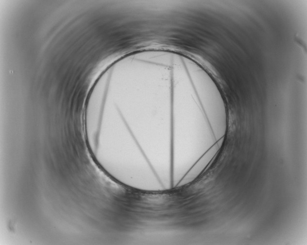 X0000102261247200808151833