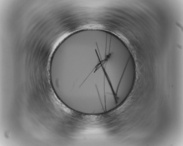 X0000102261248200808151833