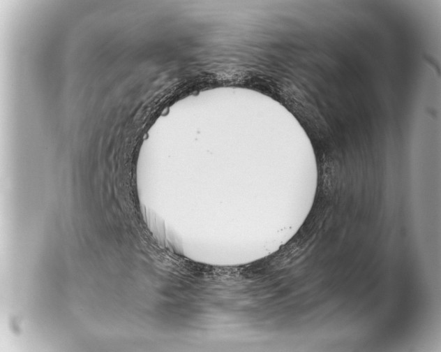 X0000102261249200808151832