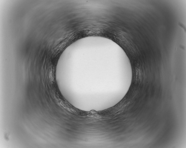 X0000102261250200808151832