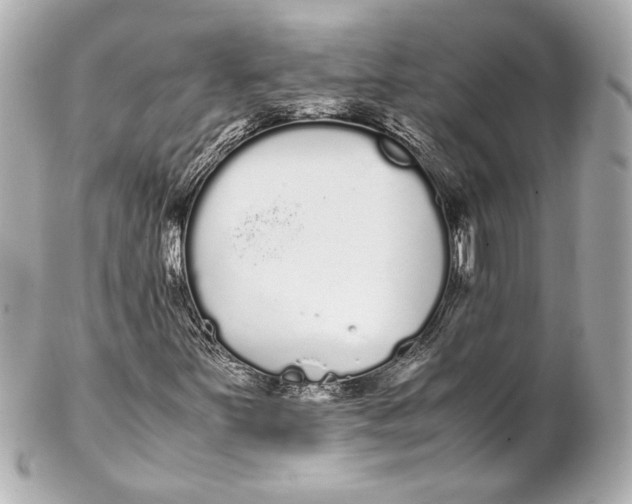 X0000102261251200808151832