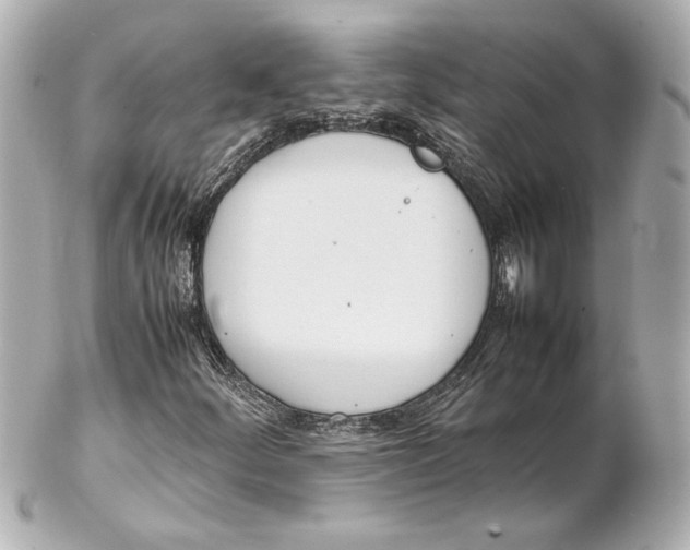 X0000102261252200808151832