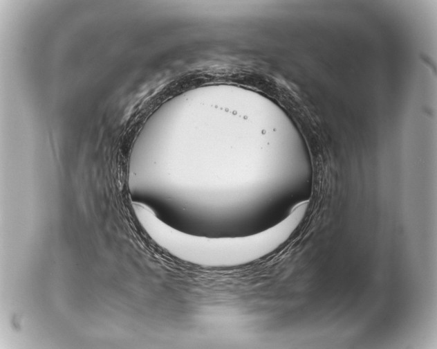 X0000102261253200808151832