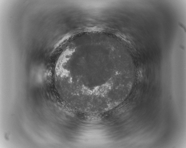 X0000102261254200808151832