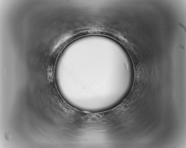 X0000102261255200808151832