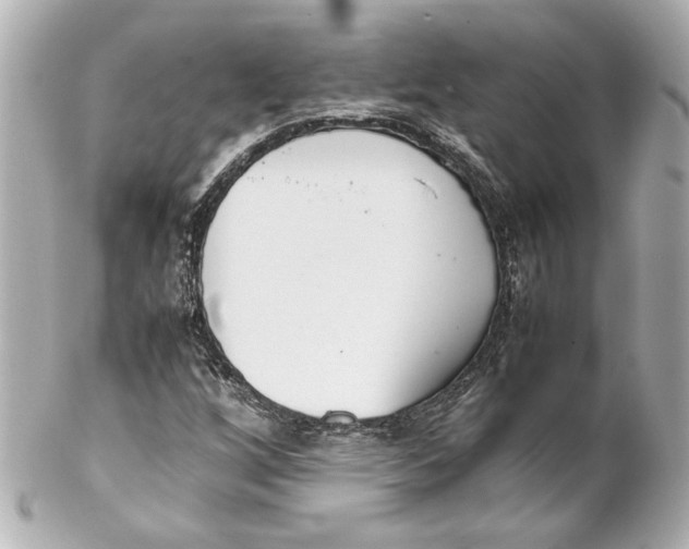 X0000102261256200808151832