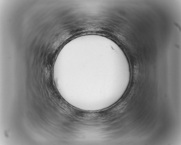 X0000102261257200808151832